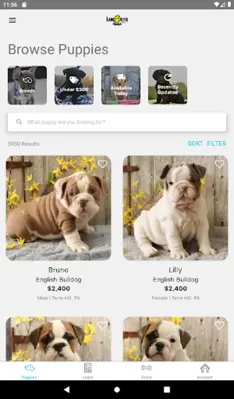 Lancaster Puppies android App screenshot 1