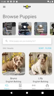 Lancaster Puppies android App screenshot 7